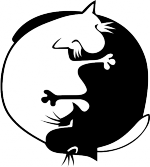 inyan1.png