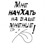 nashkatdf.png