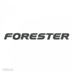 0984.png