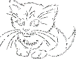 color-cat5.gif