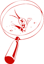plankton3.png