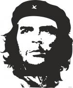 1309531106_che.jpg