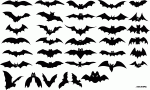 1313571410_letuchie-myshi.gif