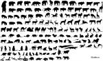 1311360344_animals.jpg